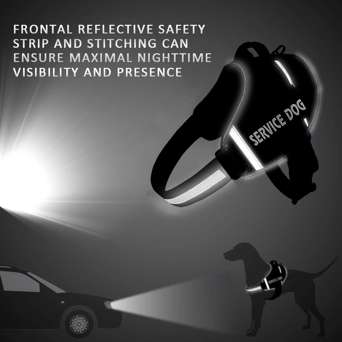 Reflective Pet Chest Harness — Comfort Edition