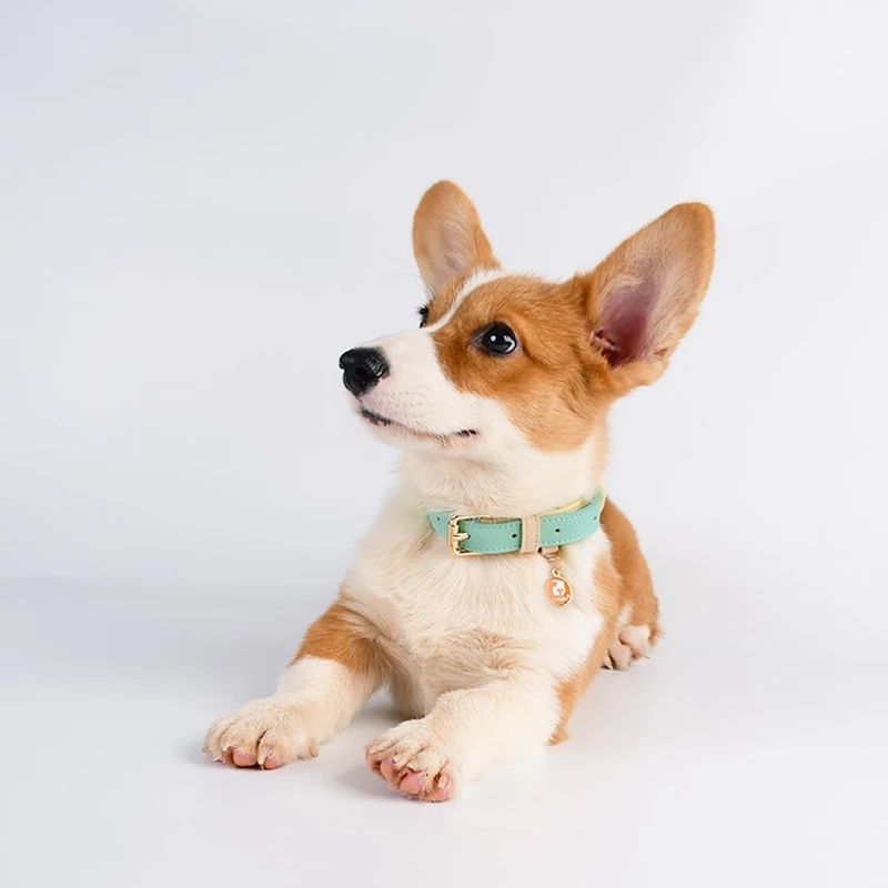 Genuine Leather Dog Leash — Classic Edition