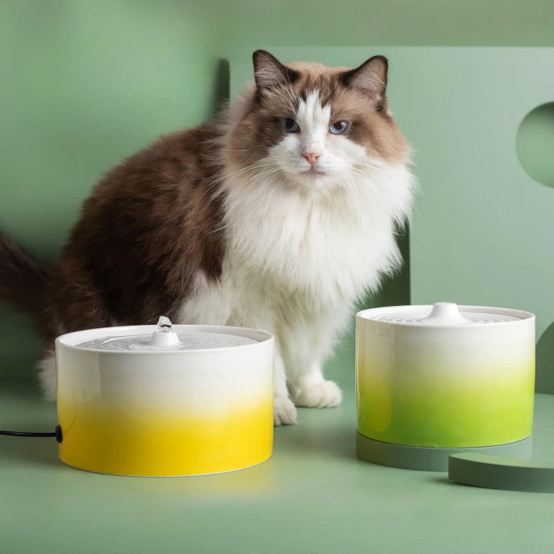 Pet Cat Drinking Fountain Automatic Electric Ceramic Heating Water Dispenser Drinking Fountain Drinking Water Circulating Bowl