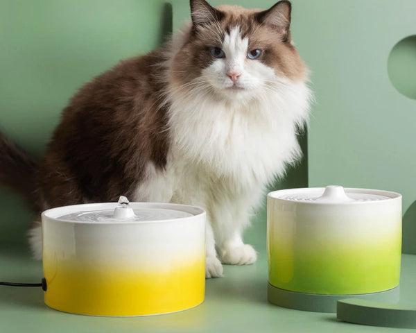 Pet Cat Drinking Fountain Automatic Electric Ceramic Heating Water Dispenser Drinking Fountain Drinking Water Circulating Bowl