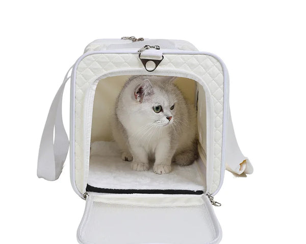 Sac de transport portable pour animaux de compagnie, sac de transport respirant et pliable en maille pour petits chiens et chats 