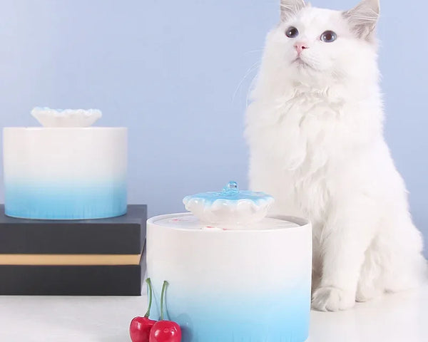 Automatic Electric Feeder for Cat Water Fountain Ceramic Filter Drinking Bowl Cat Drinker Dispenser Drinkers Pump USB Charge