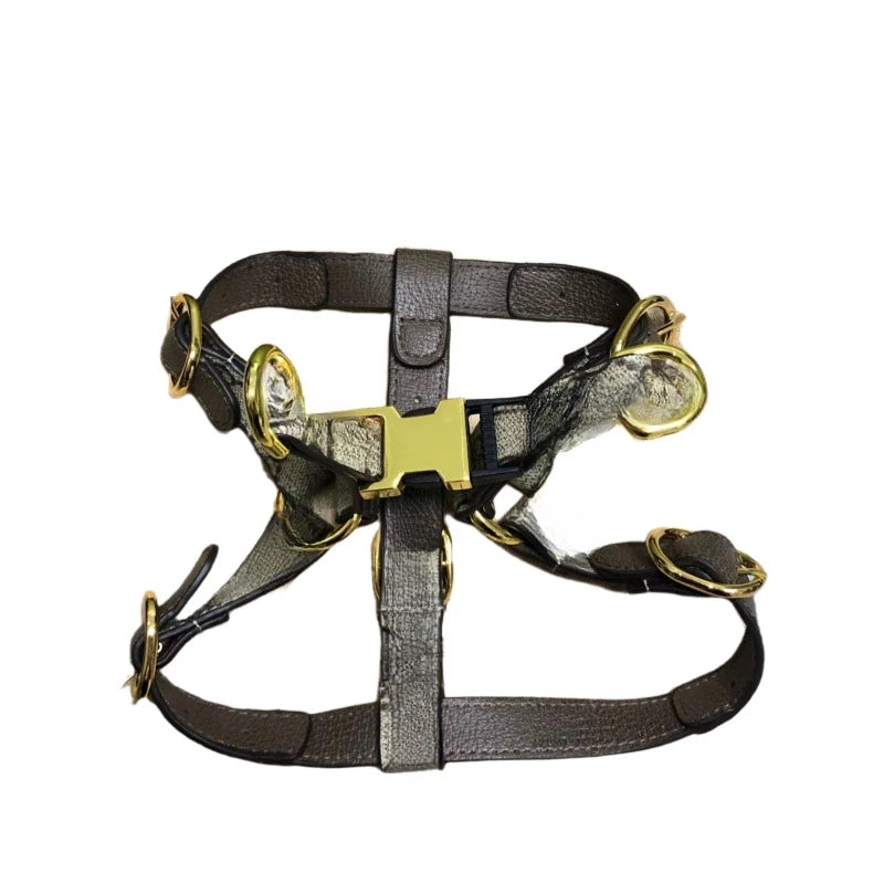 Luxury Pet Harness Puppy Lead Dog Accessories Harness Leash Set Collar With Pop Bag Set features stylish design and quality.