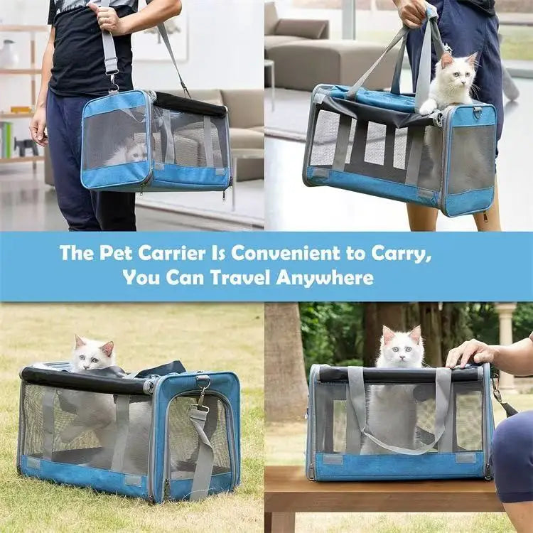 Sac de transport pour chien et chat, portable, en maille respirante, pour l'extérieur, à bandoulière, accessoire pour chat 