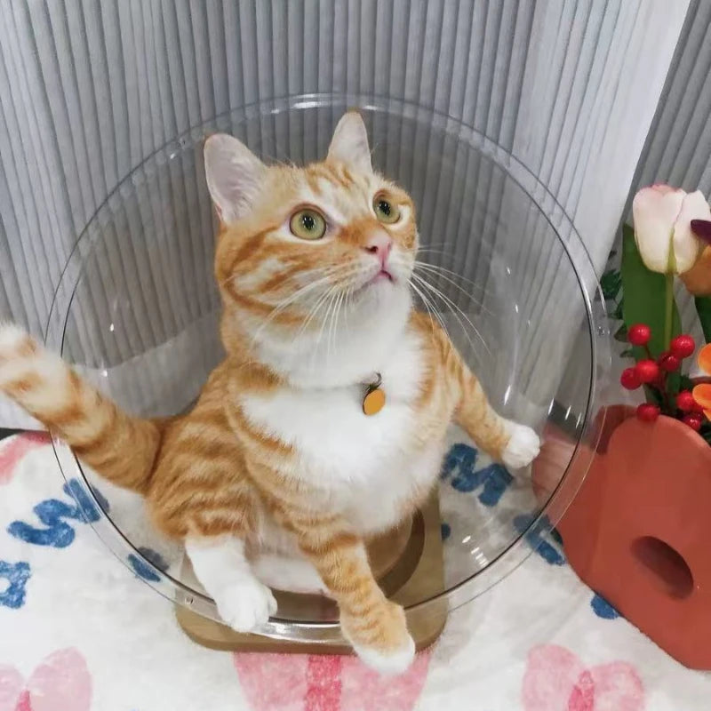 Cat Pet Bed Dog Nest House Cats Sleeping Supplies Kitten Small Puppy Washable Beds Accessories Comfortable Basket Bag Cave