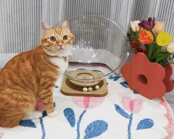 Cat Pet Bed Dog Nest House Cats Sleeping Supplies Kitten Small Puppy Washable Beds Accessories Comfortable Basket Bag Cave