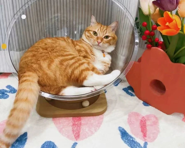 Cat Pet Bed Dog Nest House Cats Sleeping Supplies Kitten Small Puppy Washable Beds Accessories Comfortable Basket Bag Cave