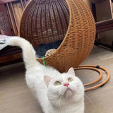 Cozy Cat Bed Handmade House Nest Basket, perfect for dogs and cats. Cane woven hammock swing for pet sleeping and relaxing.